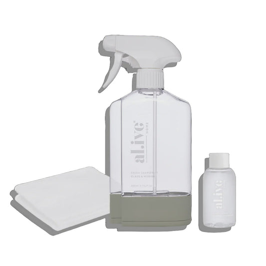 Glass & Mirror Cleaning Kit