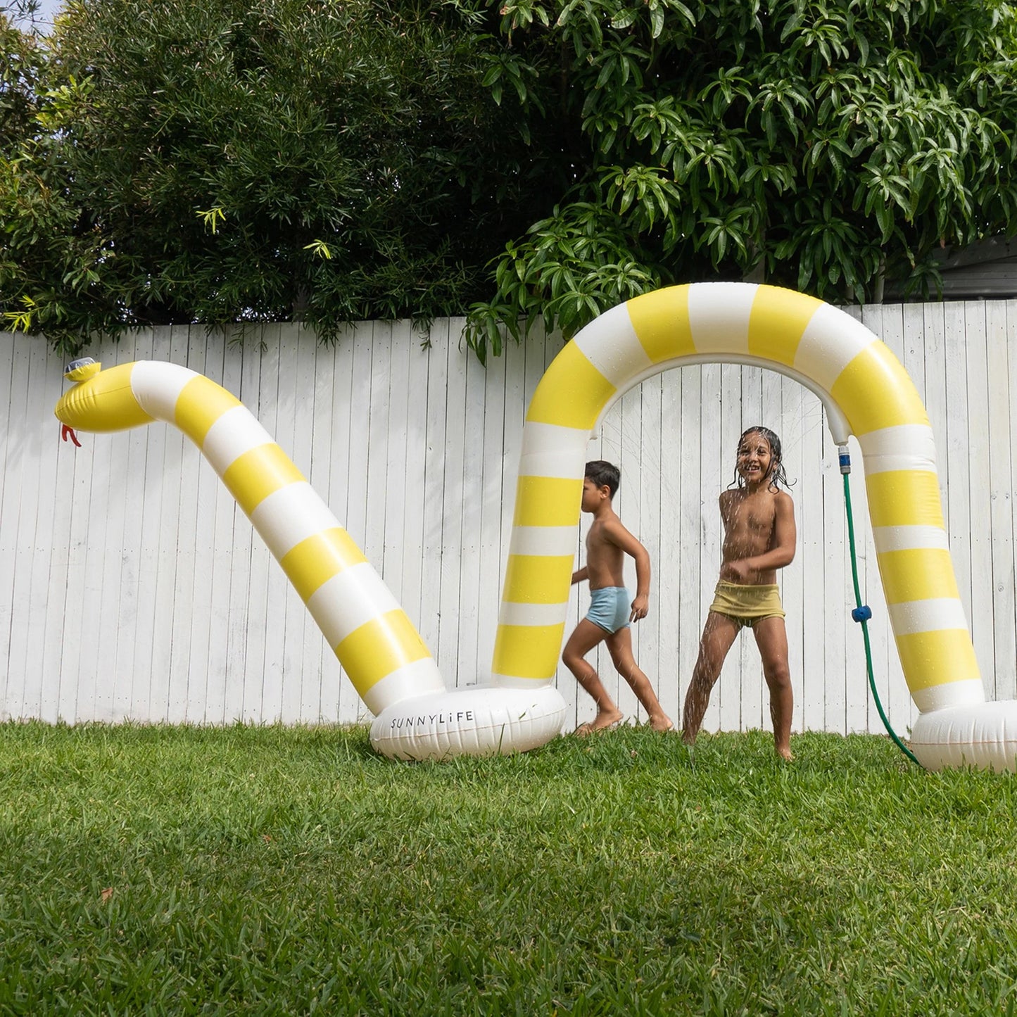 Snake Giant Sprinkler Into the Wild Yellow