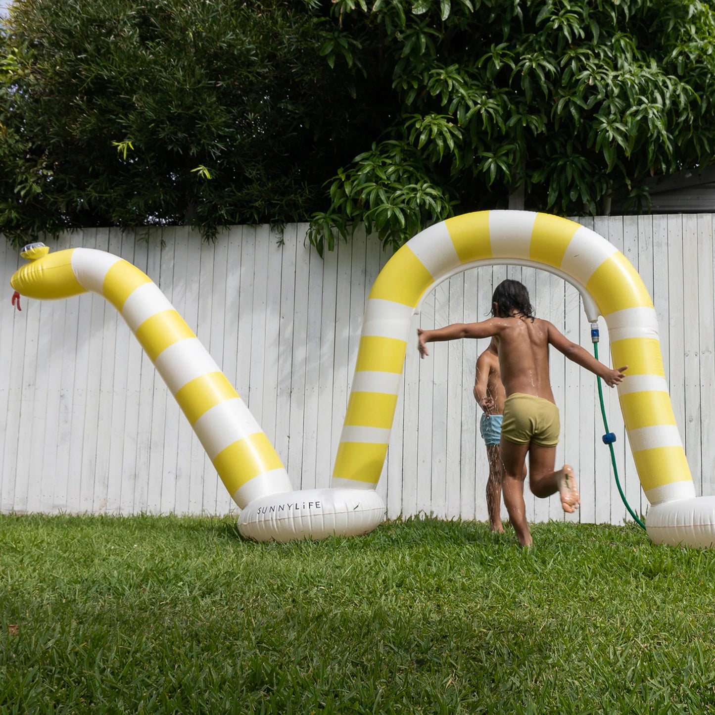 Snake Giant Sprinkler Into the Wild Yellow