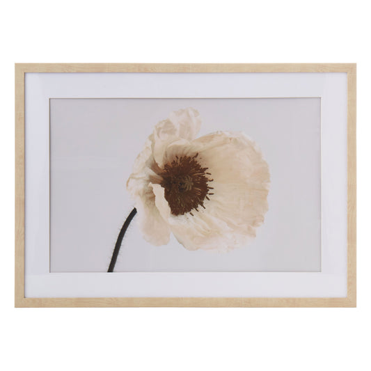 Poppy Floral Wall Art Ivory